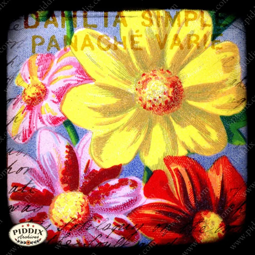 PDXC5113 -- French Seed Packets