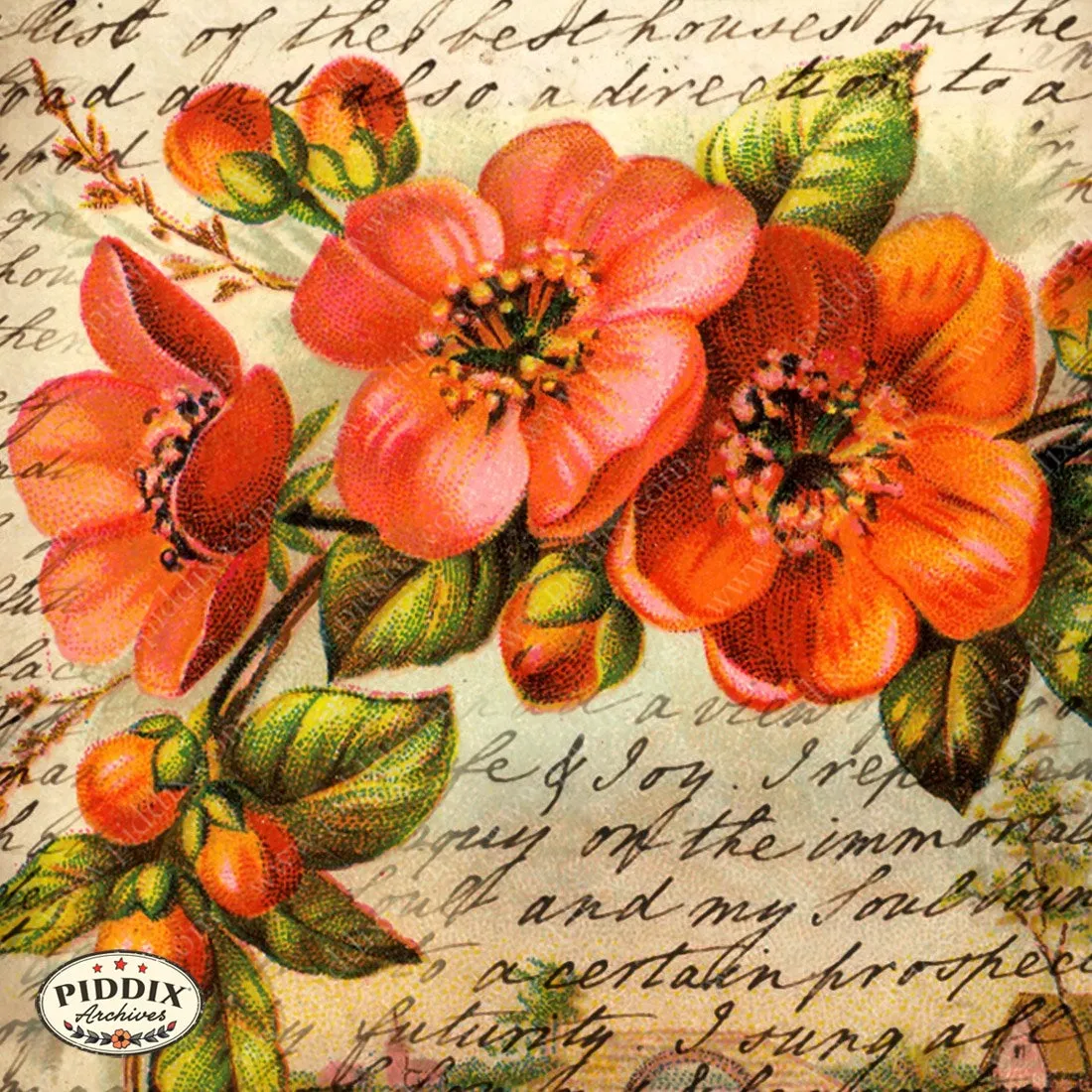 PDXC5116a & b -- Flora & Fauna