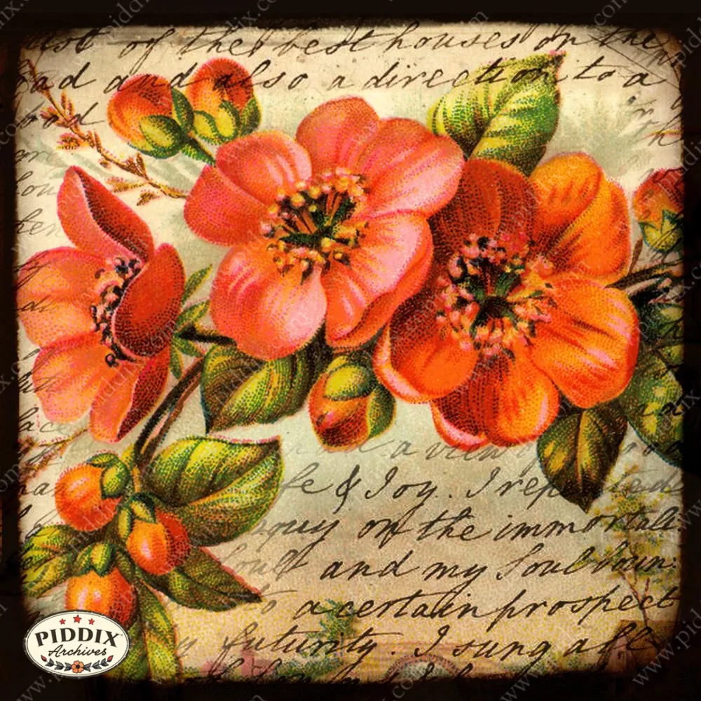 PDXC5116a & b -- Flora & Fauna