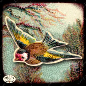 PDXC5120c -- Flora & Fauna