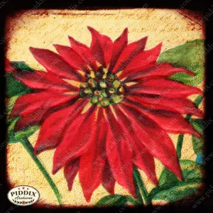 PDXC5122 -- Flora & Fauna