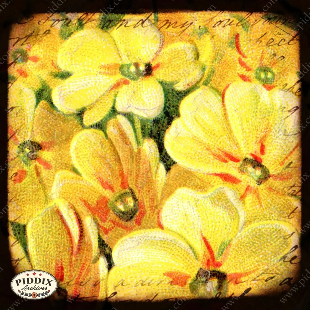 PDXC5126 -- Flora & Fauna