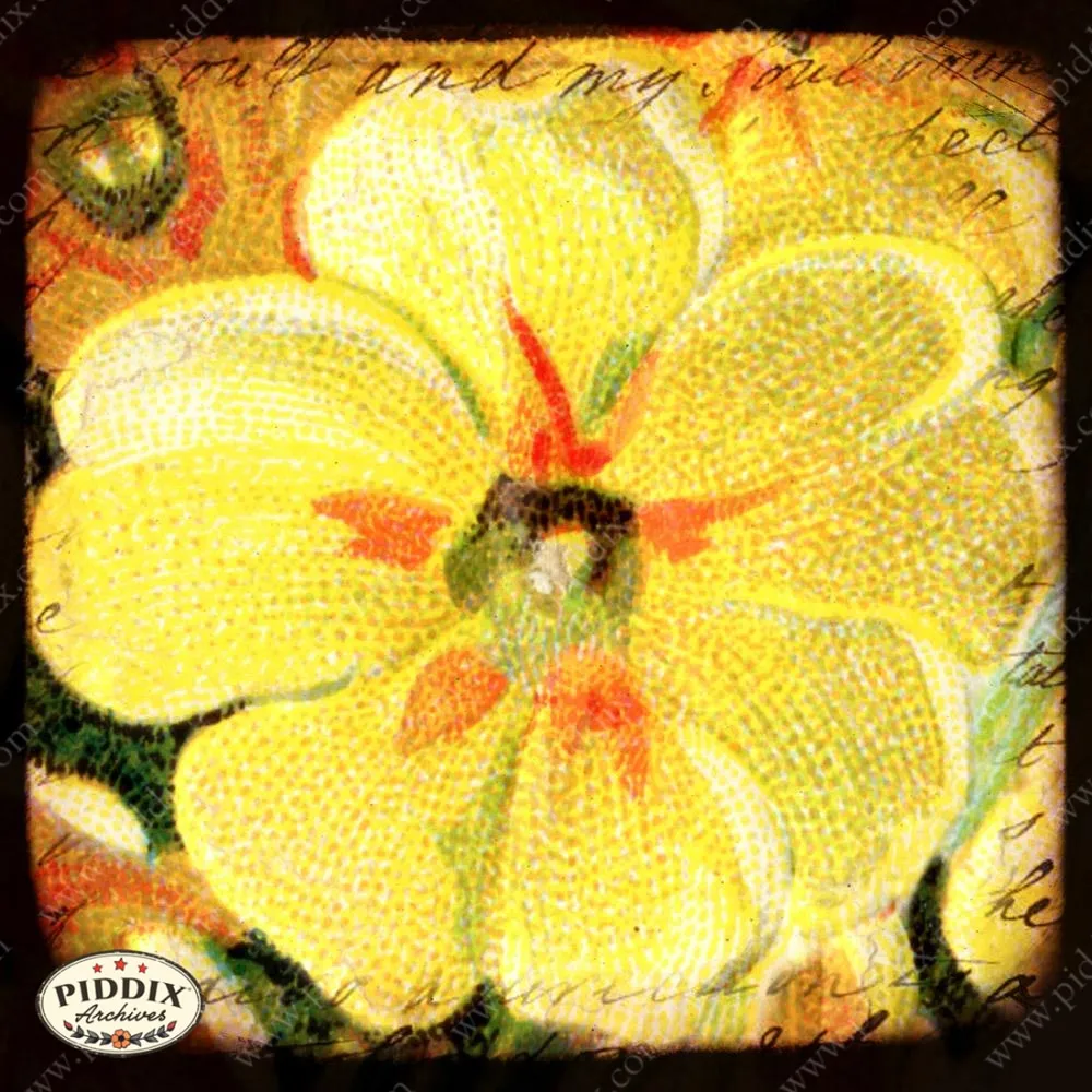 PDXC5126 -- Flora & Fauna