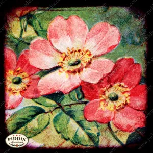 PDXC5129 -- Flora & Fauna
