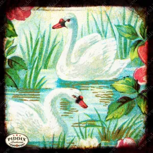PDXC5138 -- Flora & Fauna