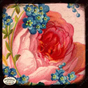 PDXC5141 -- Flora & Fauna