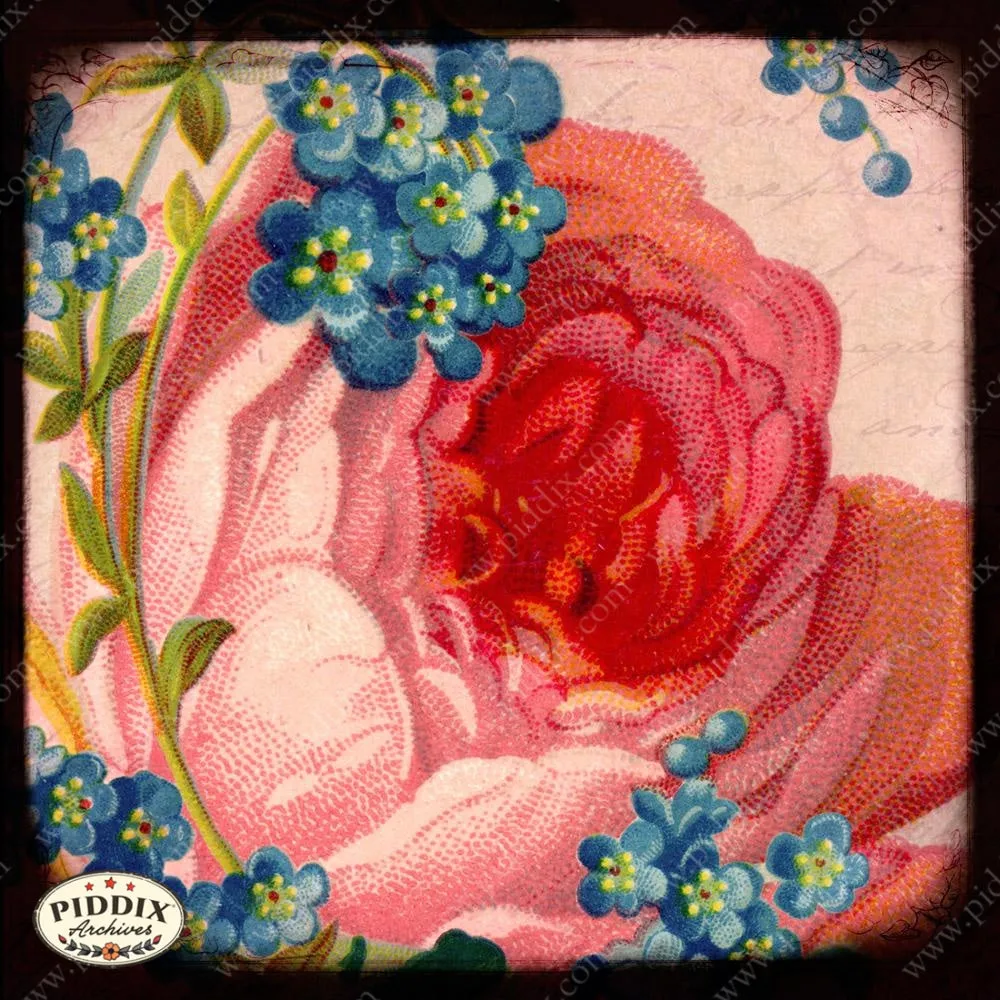 PDXC5141 -- Flora & Fauna