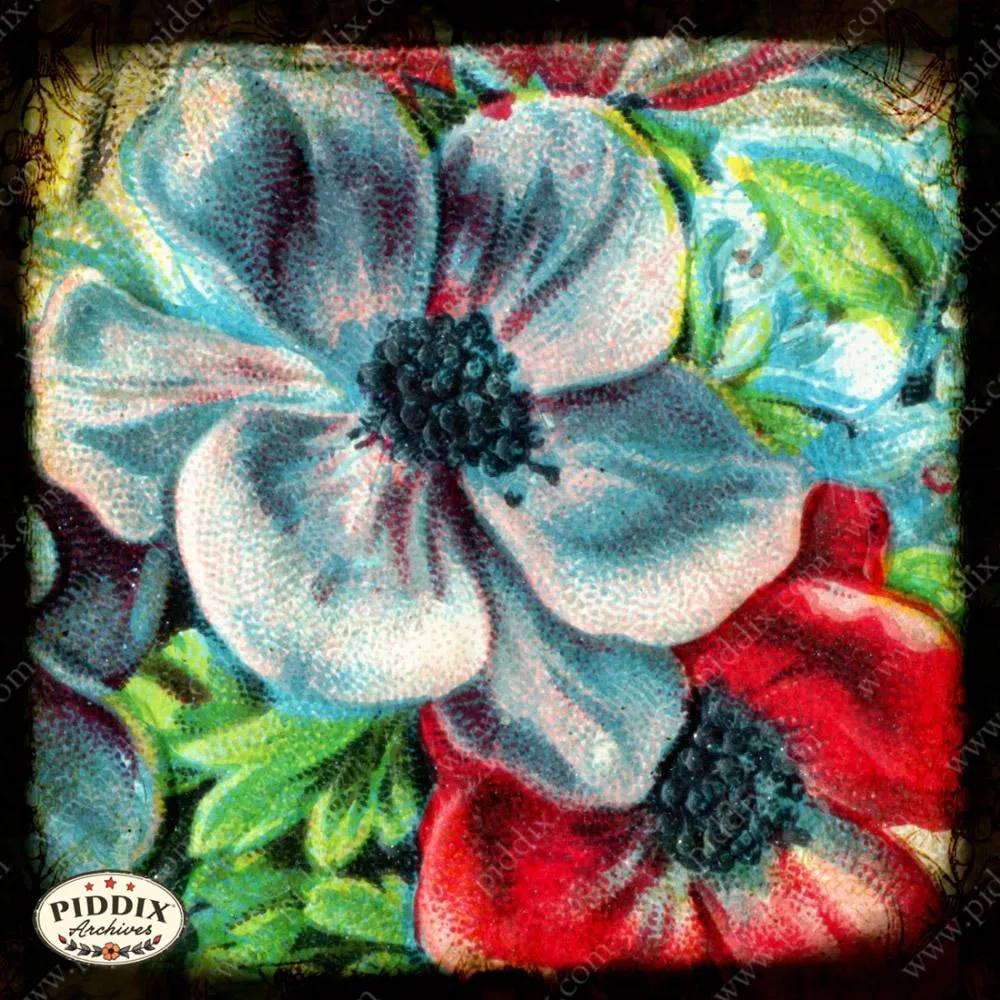 PDXC5145 -- Flora & Fauna