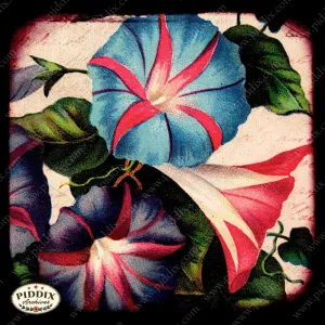 PDXC5146 -- Flora & Fauna