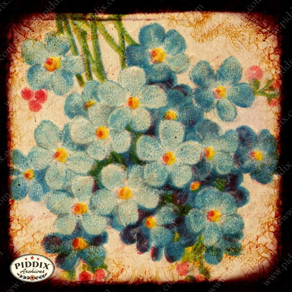 PDXC5148 -- Flora & Fauna