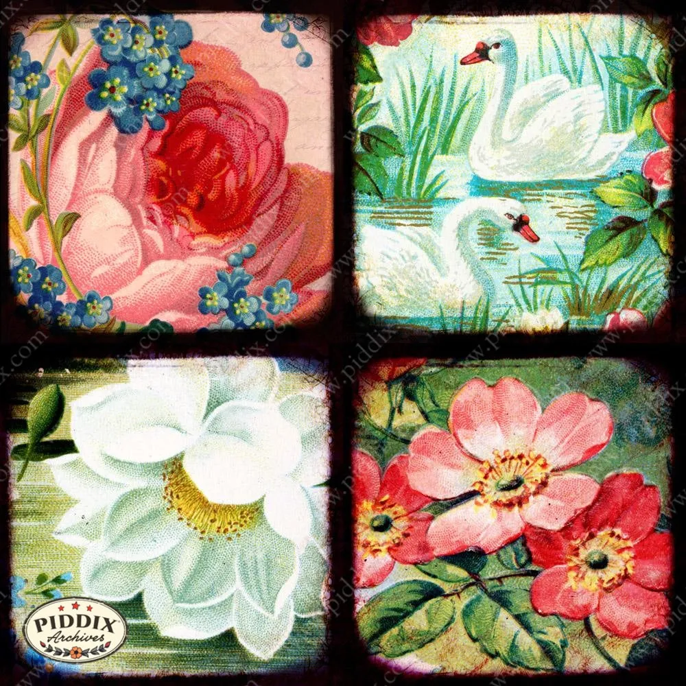 PDXC5150a -- Flora & Fauna