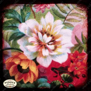PDXC5449 -- Flora & Fauna