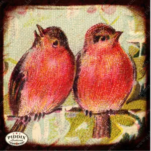 PDXC5453 -- Flora & Fauna