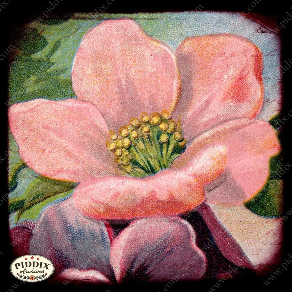 PDXC5458 -- Flora & Fauna