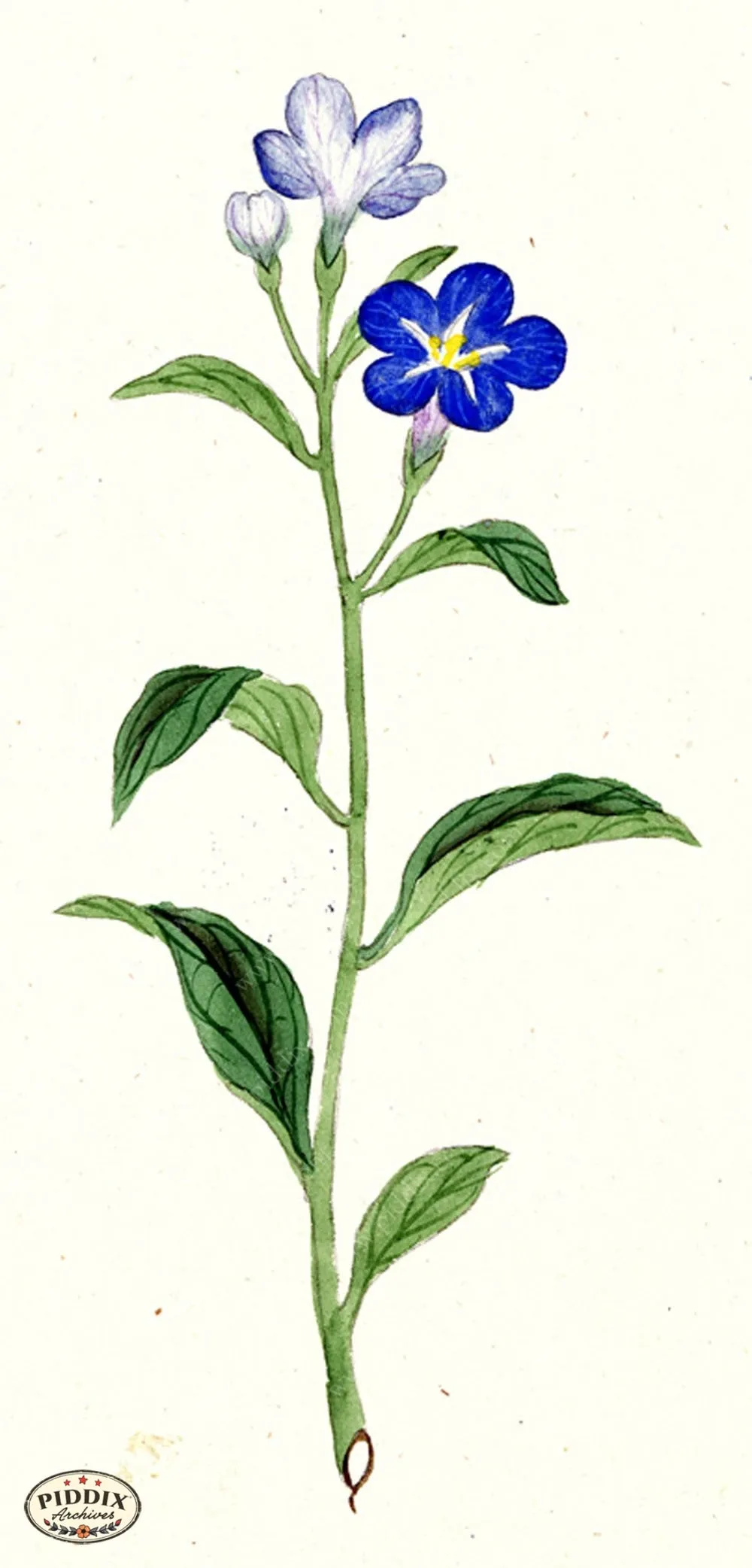 PDXC5509  -- Japanese Watercolors