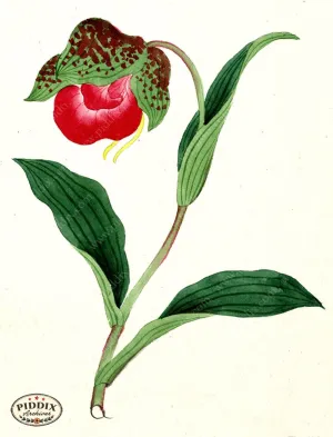 PDXC5512  -- Japanese Watercolors