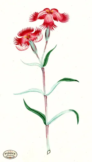PDXC5519  -- Japanese Watercolors