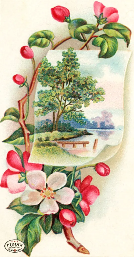PDXC7512 -- Flower Cards Apple Blossoms