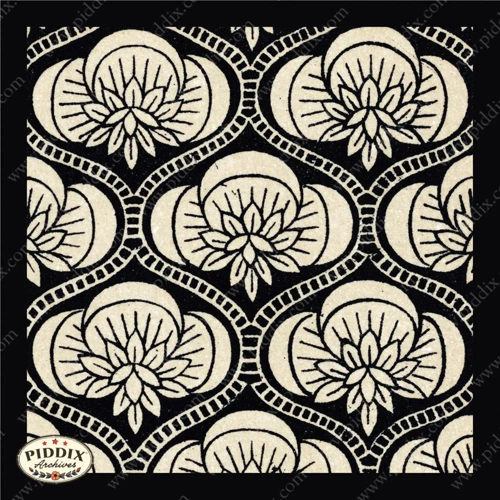 PDXC8454 -- Patterns Black & White