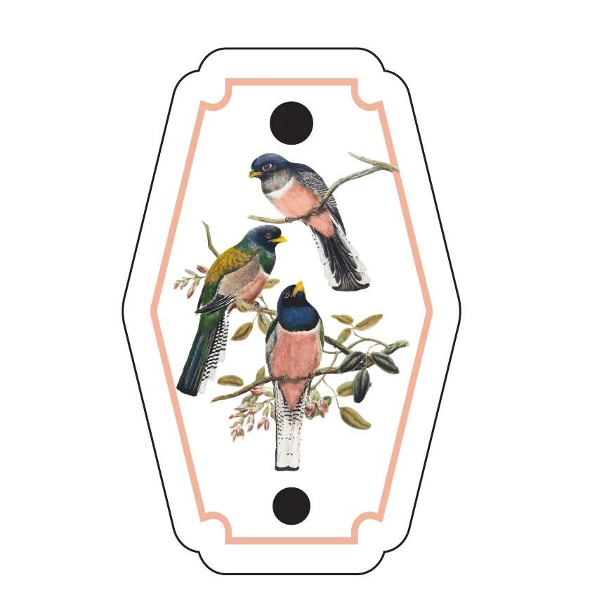 Petite Bijoux - 3 pair set - 4 Designs