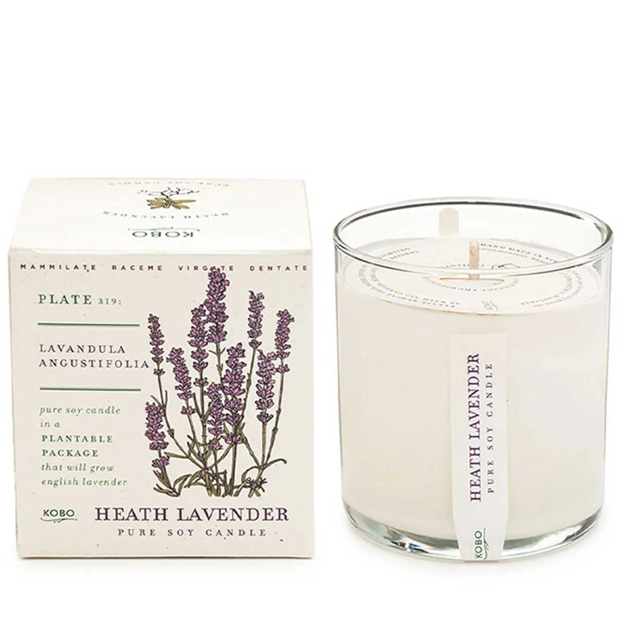 Plant the Box Candle - Heath Lavender