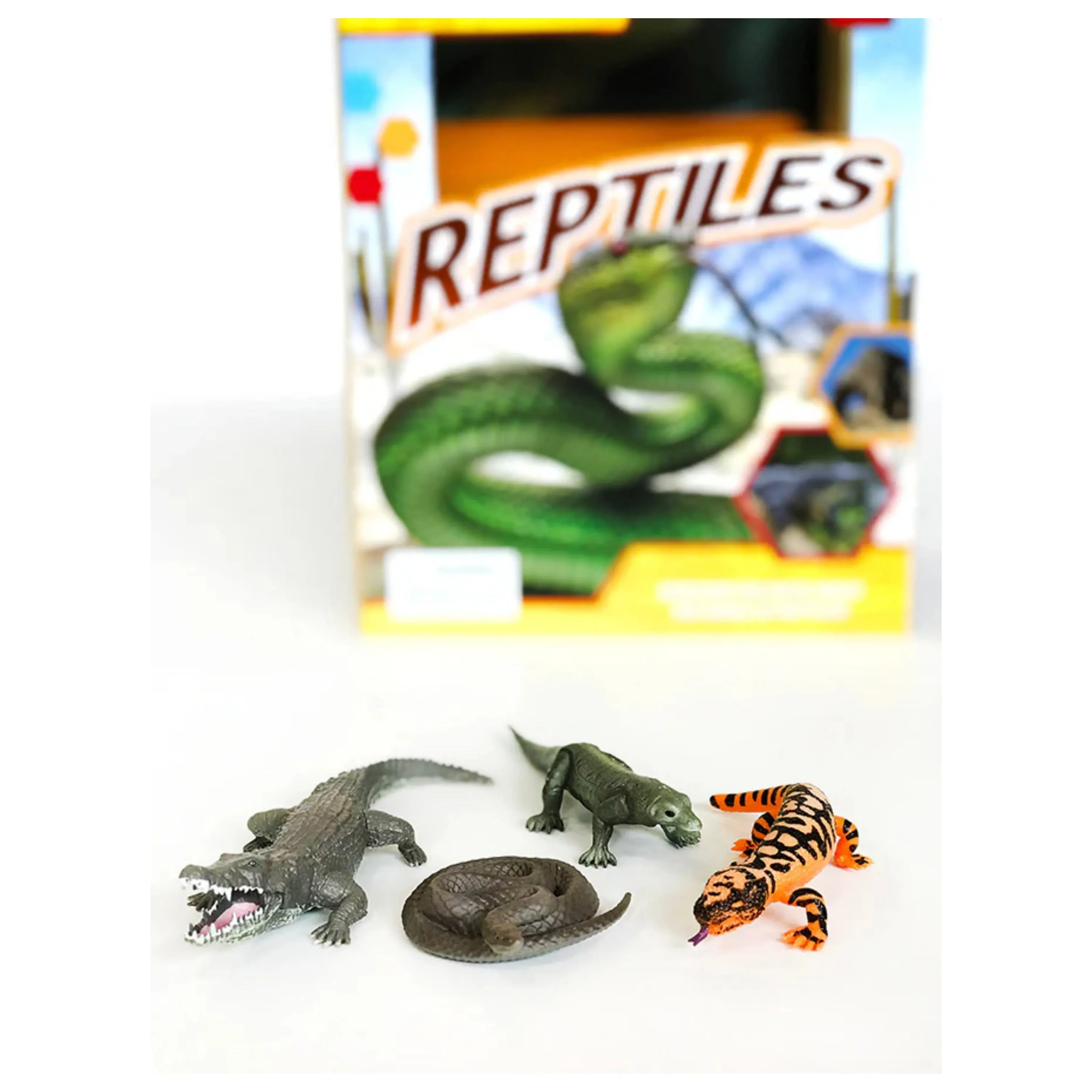 Pocket Explorers Reptiles