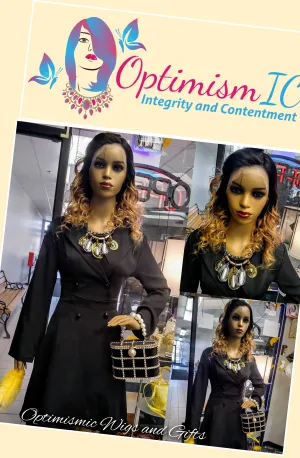 Splendor Blonde Ombre $195 100% Transparent Lace 22inches body wave Human hair Lace Front Wigs Optimismic Wigs and Gifts Shop West St Paul