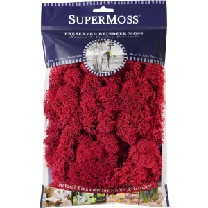 Super Moss Preserved Reindeer Moss - 2oz