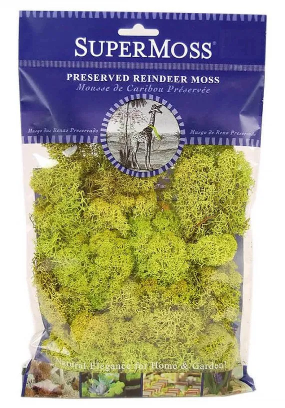 Super Moss Preserved Reindeer Moss - 2oz