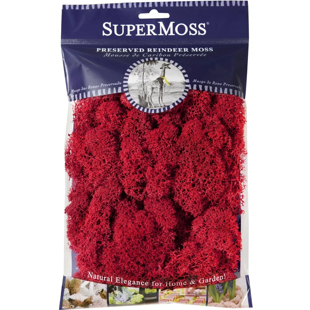 Super Moss Preserved Reindeer Moss - 2oz