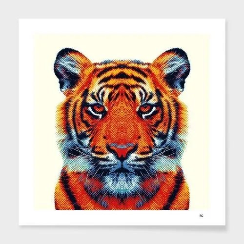 Tiger - Colorful Animals  Frame
