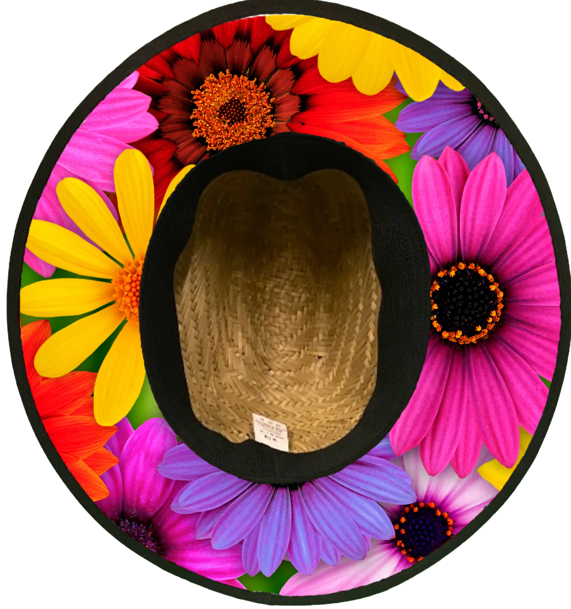 Wild Flowers