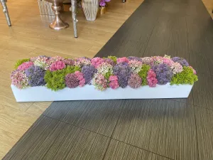 XL boxwood with colorful sedums - #116